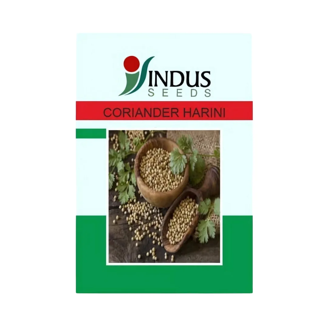 Indus Coriander Seeds Dhania 700g