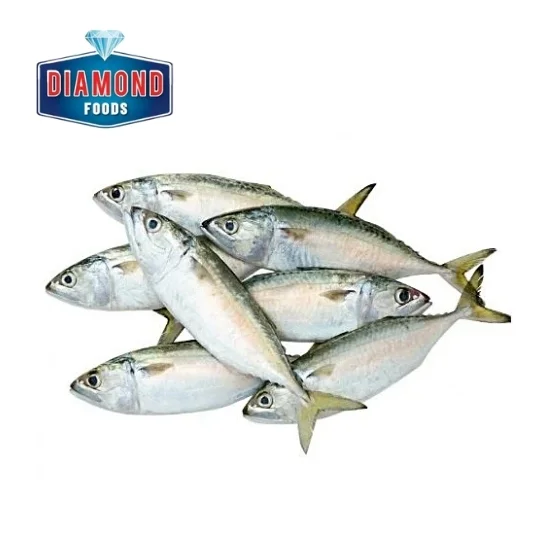 Seafood Delight Fresh Frozen Mackerel Pan Ready 1kg