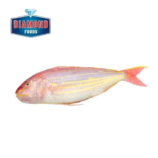Diamond Seafoods Japaness 1kg