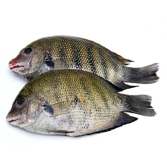 Seafood Delight Frozen Fresh Pearl Spot Head On Pan Ready 700g