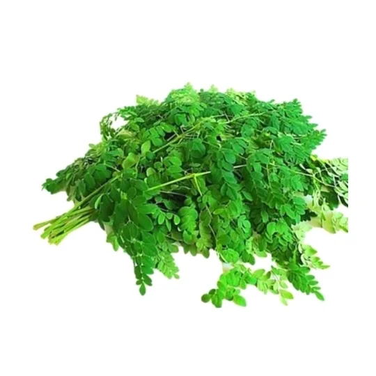 Murunga Leaves Bunch