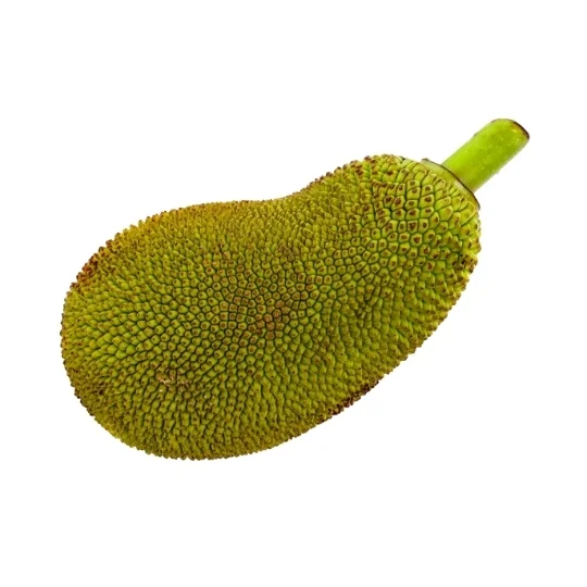 Tender Jackfruit (1kg)