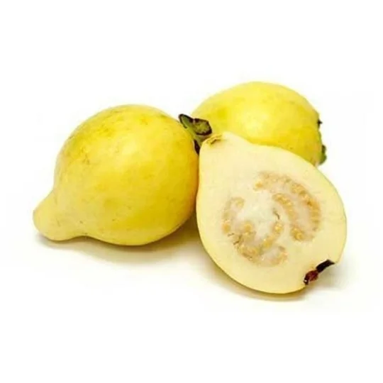 Egyption Guava (1kg)