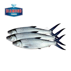Diamond Seafoods Milk Fish 800g