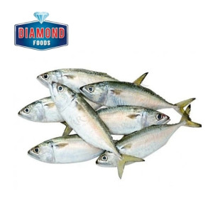 Seafood Delight Fresh Frozen Mackerel Pan Ready 700g