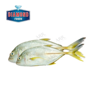 Diamond Seafoods Yellow Trevally 600g
