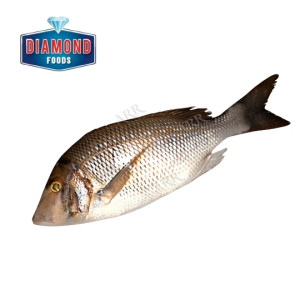 Diamond Seafoods Emperor 1kg