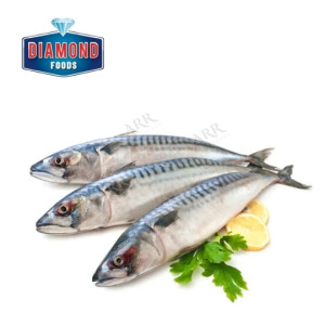 Diamond Seafoods Baby King Fish 1kg