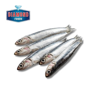 Diamond Seafoods Anchovy 1kg