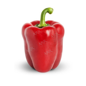 Red Capsicum Each