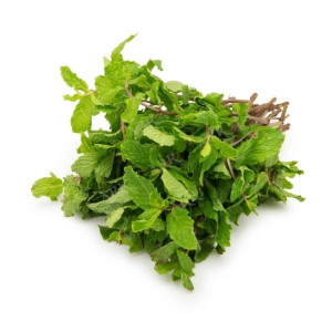 Mint Bunch