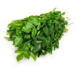 Curry Leaves Bunch