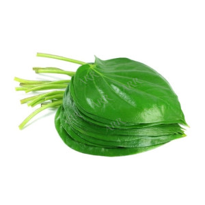 Pan Leaves Bunch 