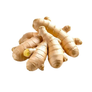 Ginger