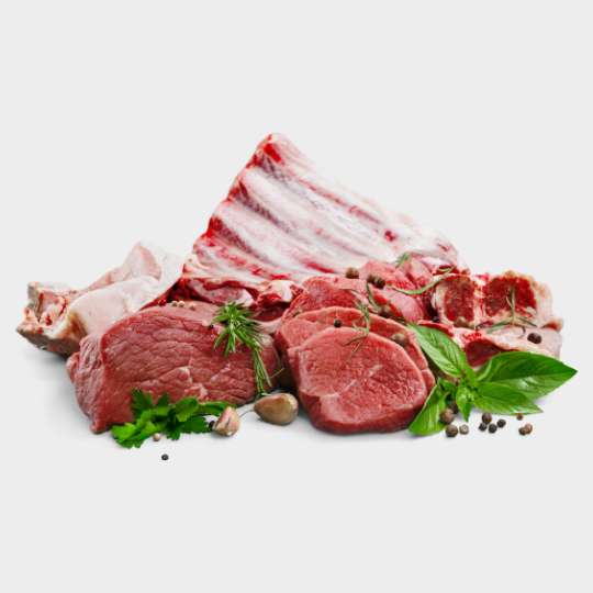 Fresh Meat