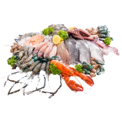 Seafood